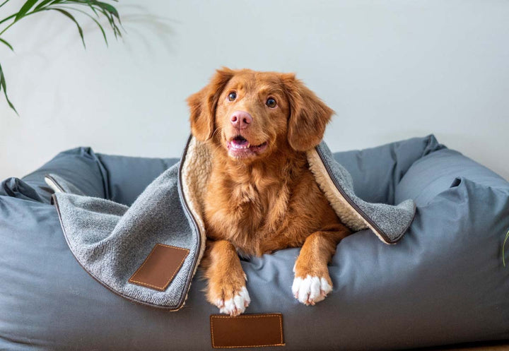 The Ultimate Guide to Choosing the Right Pet Bed for Your Furry Friend