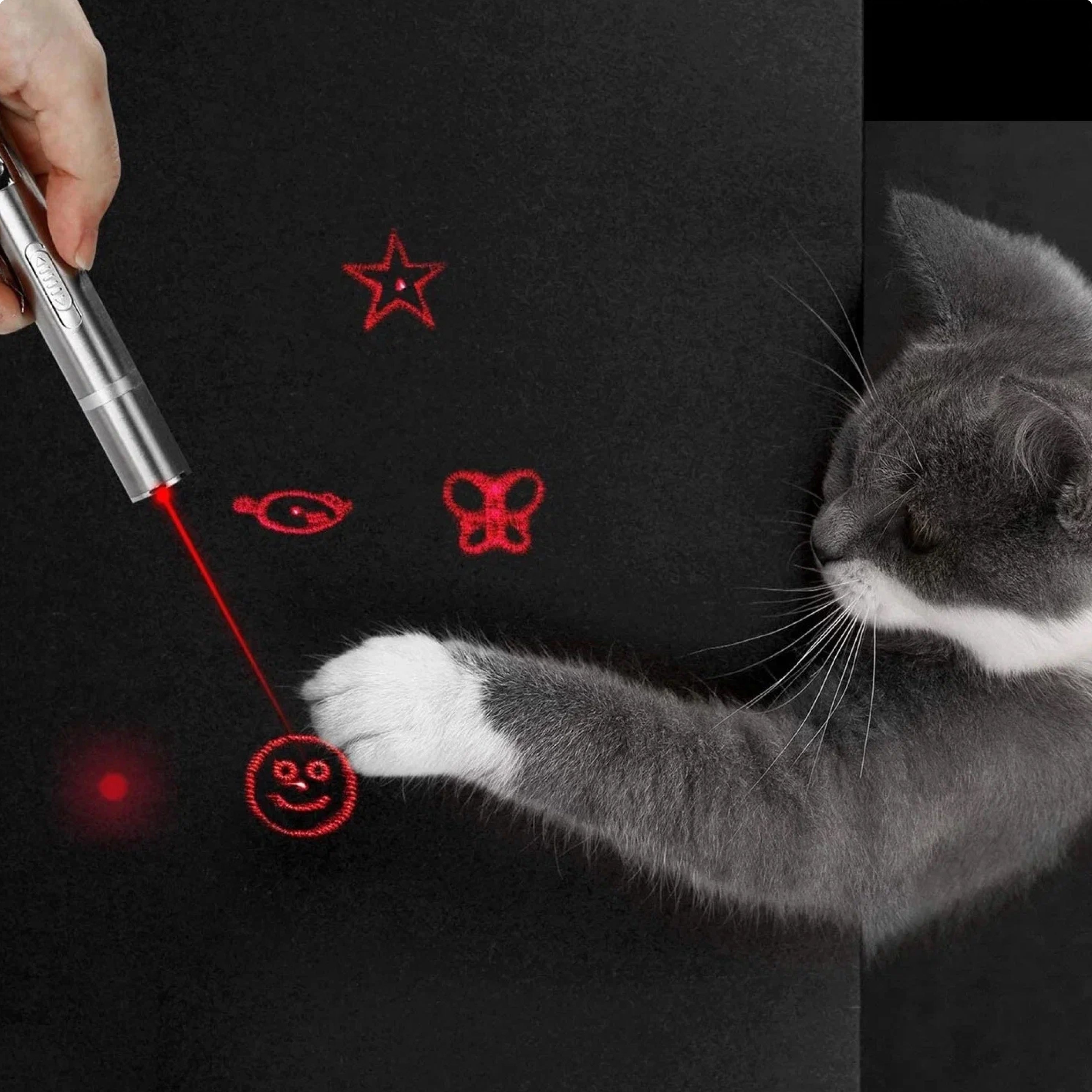 Cat Toys LED Light Pointer